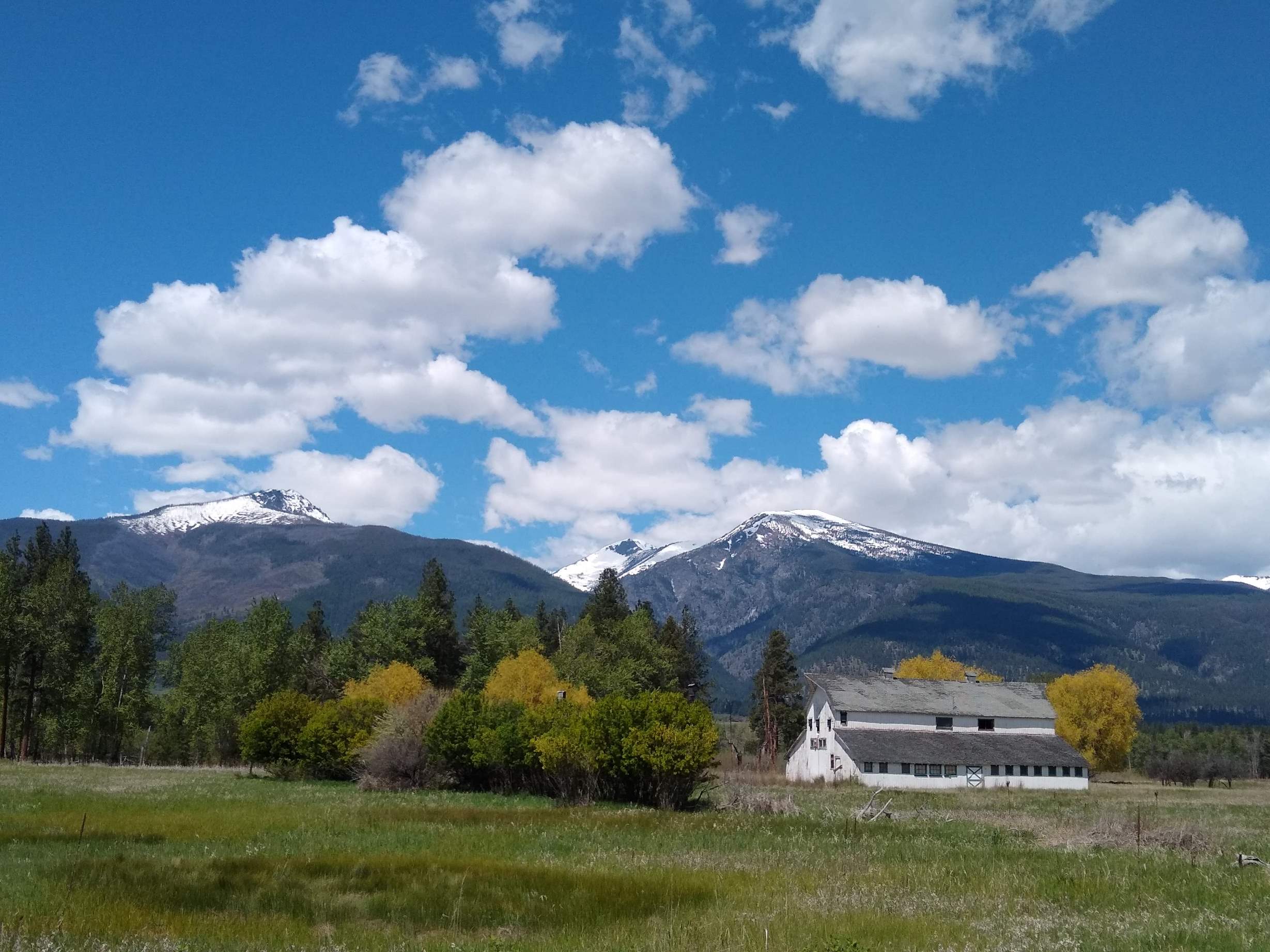 Bitterroot Valley Real Estate and Homes for Sale